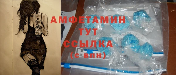 прущие грибы Балахна
