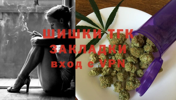 ешки Аркадак