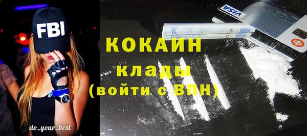 прущие грибы Балахна