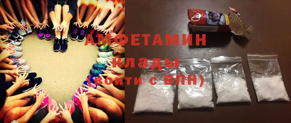 прущие грибы Балахна