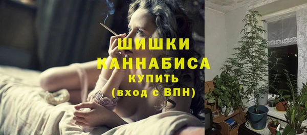 прущие грибы Балахна